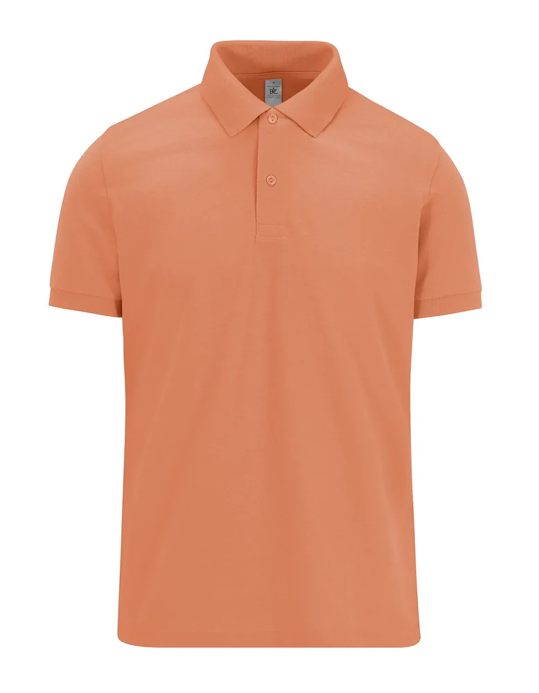My Polo 210 – Image 2