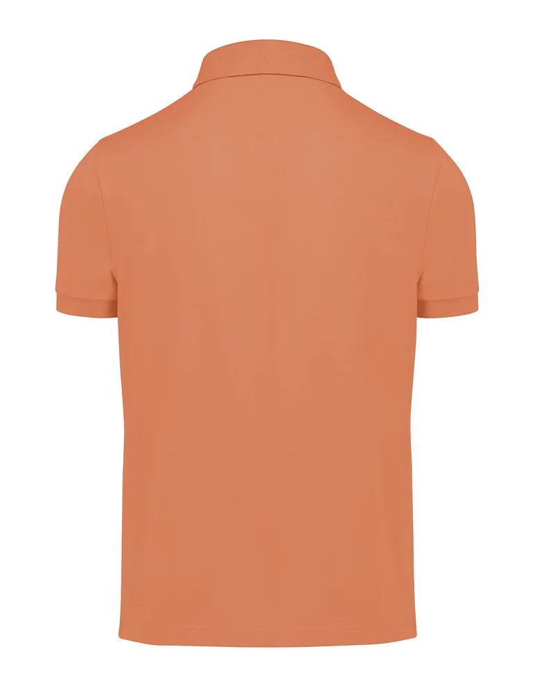 My Polo 210 – Image 3