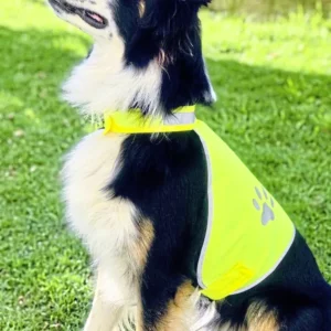 Stretchy Hi-Vis Safety Vest For Dogs Buenos Aires