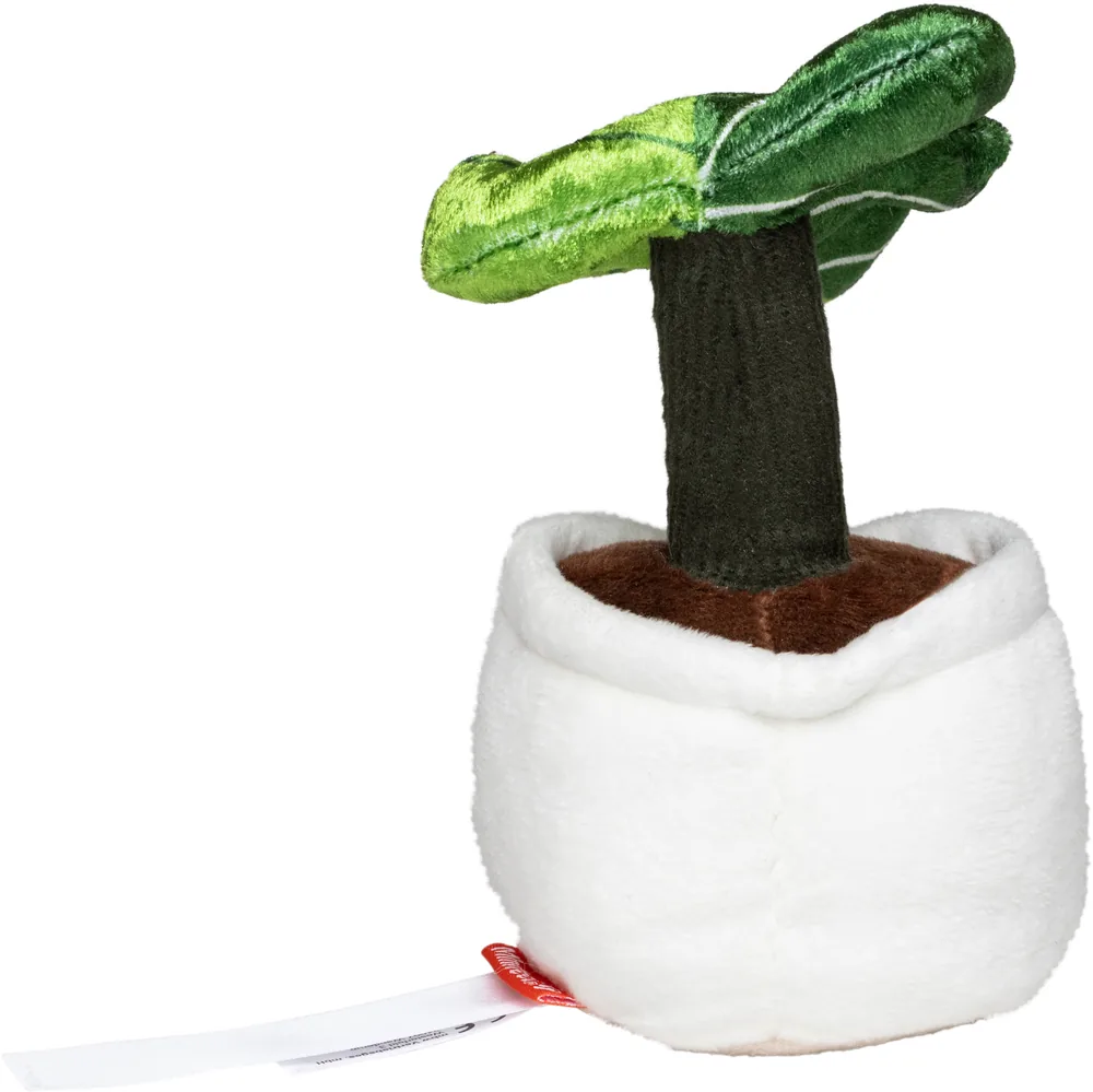 Schmoozies® Evergreenies® Monstera – Image 3
