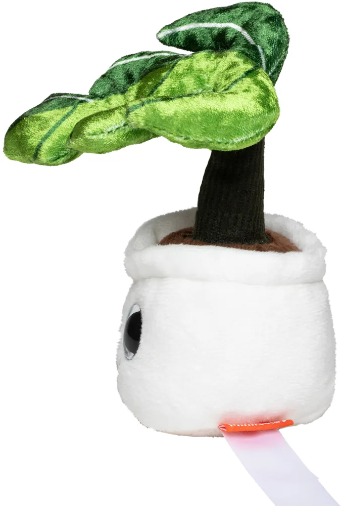Schmoozies® Evergreenies® Monstera – Image 4