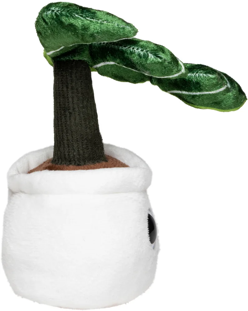 Schmoozies® Evergreenies® Monstera – Image 5