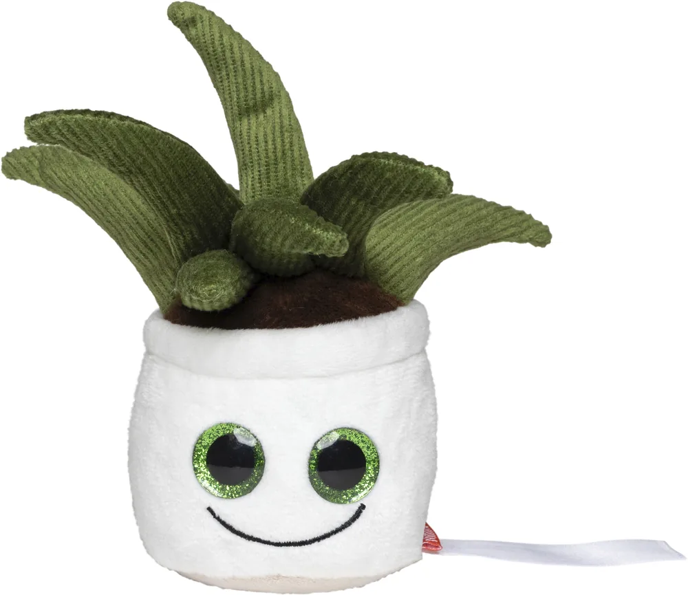 Schmoozies® Evergreenies® Aloe Vera