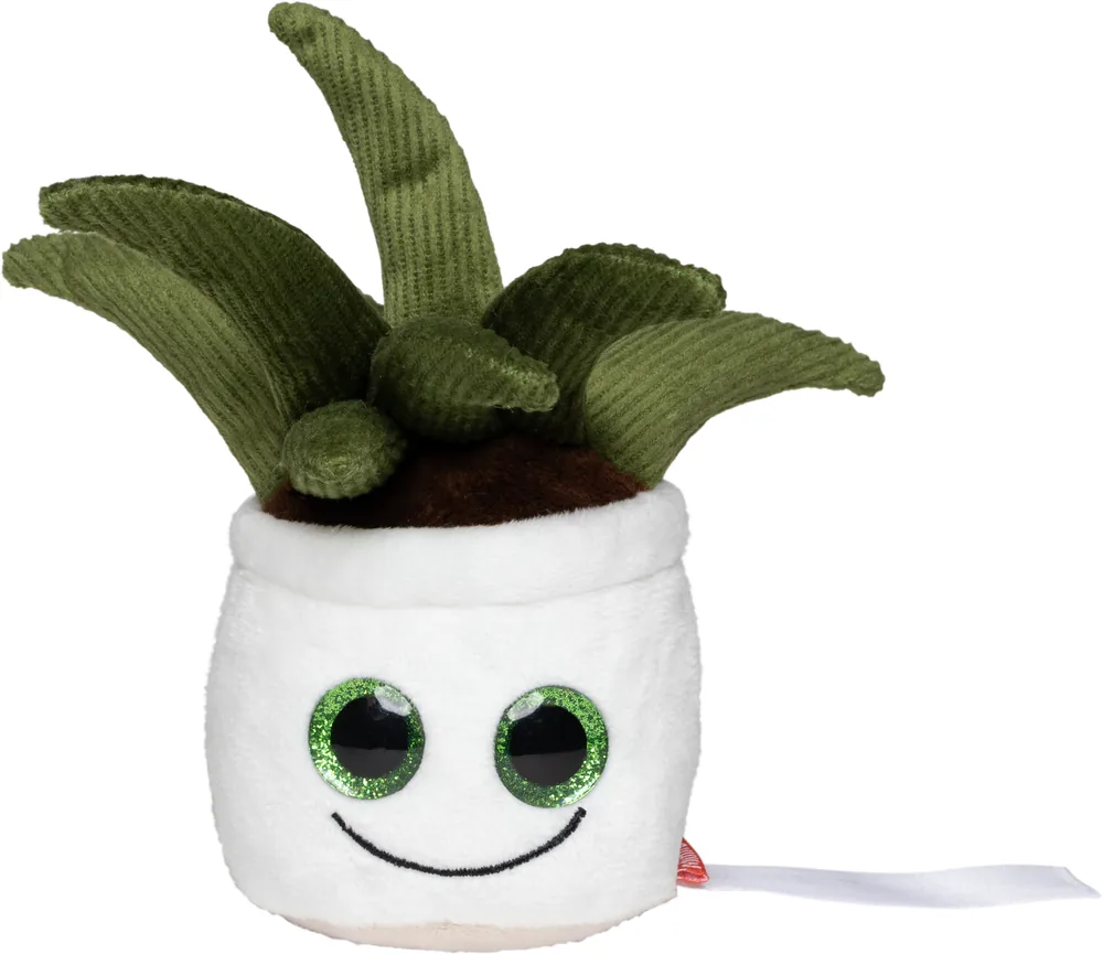 Schmoozies® Evergreenies® Aloe Vera – Image 2