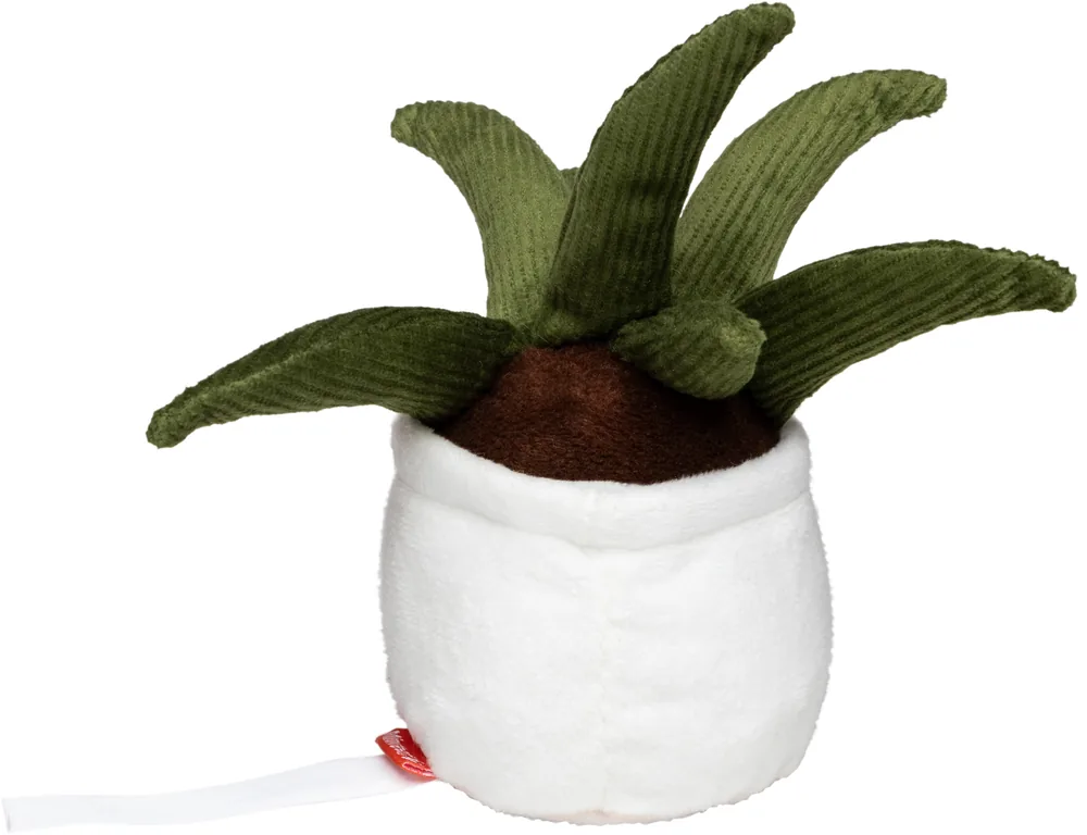 Schmoozies® Evergreenies® Aloe Vera – Image 3
