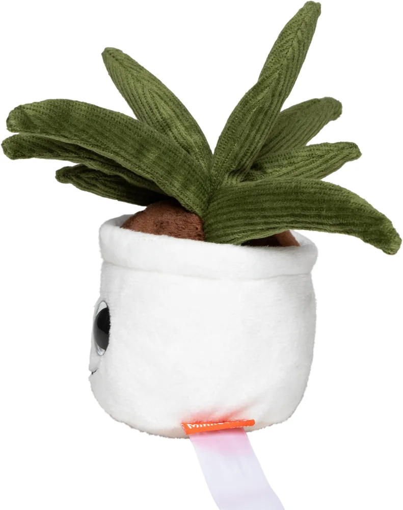 Schmoozies® Evergreenies® Aloe Vera – Image 4