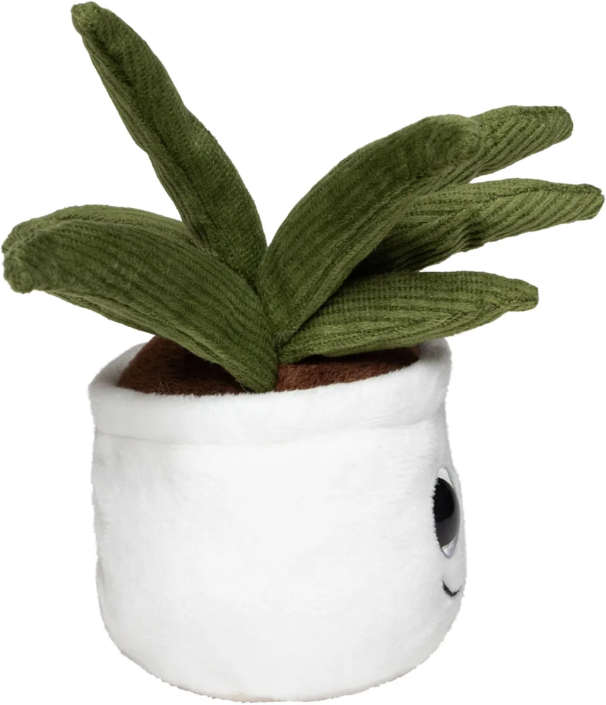 Schmoozies® Evergreenies® Aloe Vera – Image 5