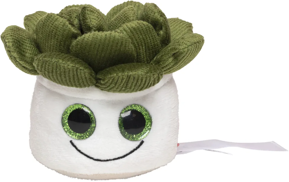 Schmoozies® Evergreenies® Succulent