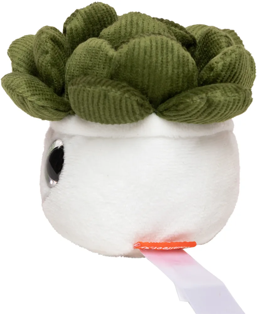Schmoozies® Evergreenies® Succulent – Image 4