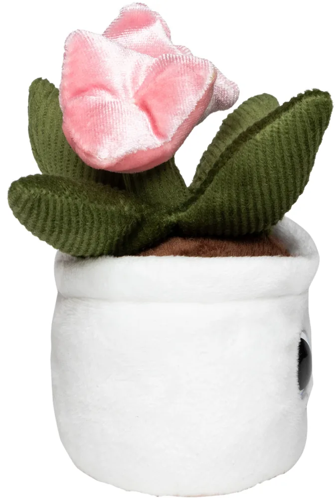 Schmoozies® Evergreenies® Tulip – Image 5