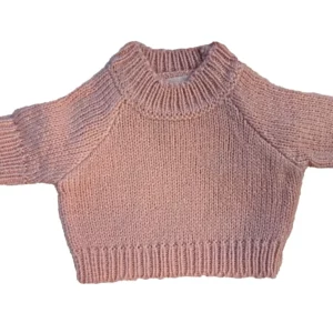 Teddy Jumper