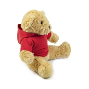 Teddy Hoodie