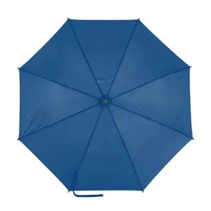 Automatic Umbrella