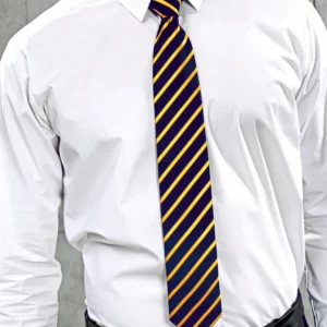Sports Stripe Tie