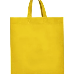 Lake Bag